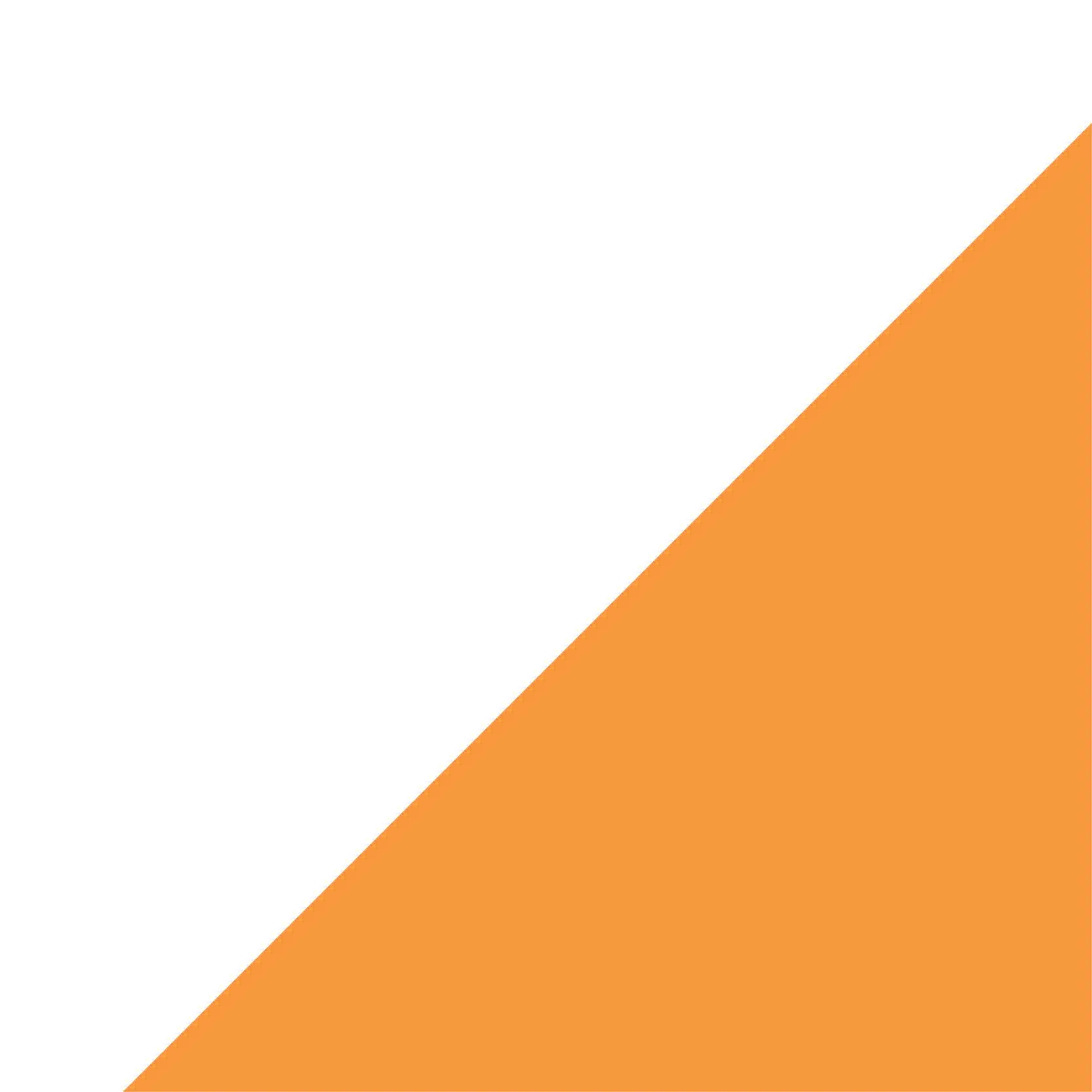 orange triangle overlay